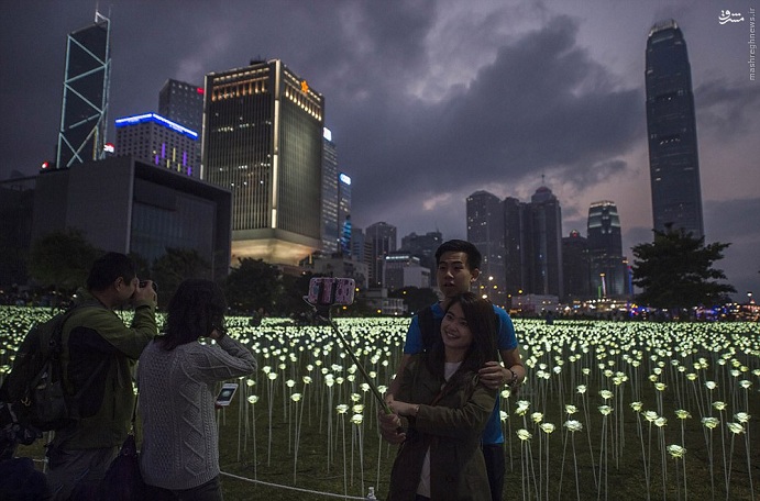 25 000 светодиодных роз в Гонконге!